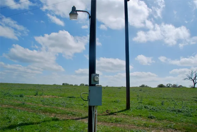 a view of a garden from a yard