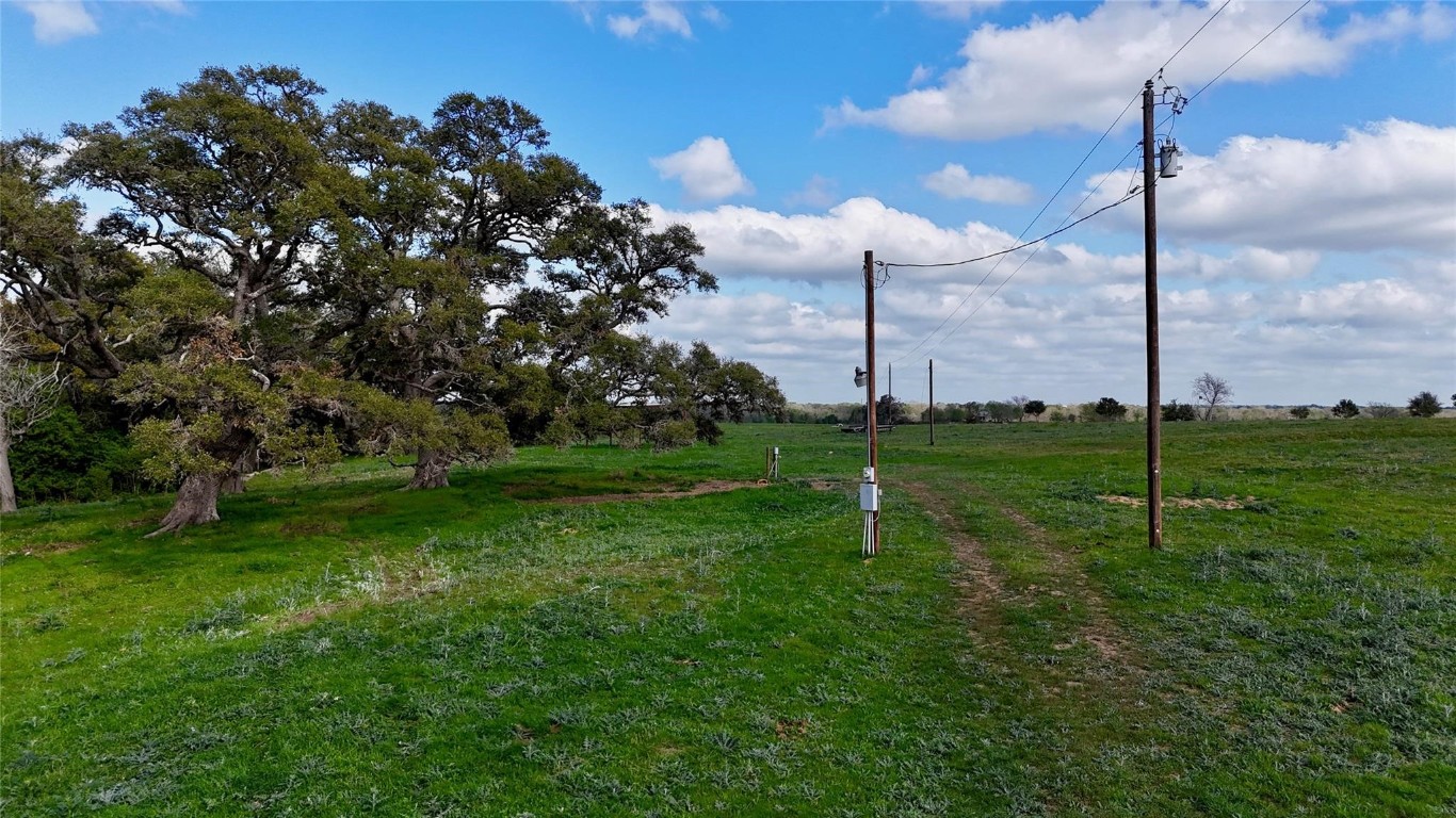 494 County Road 217 Schulenburg, TX 78956 - Photo 26 of 39 a view of a park with a tree