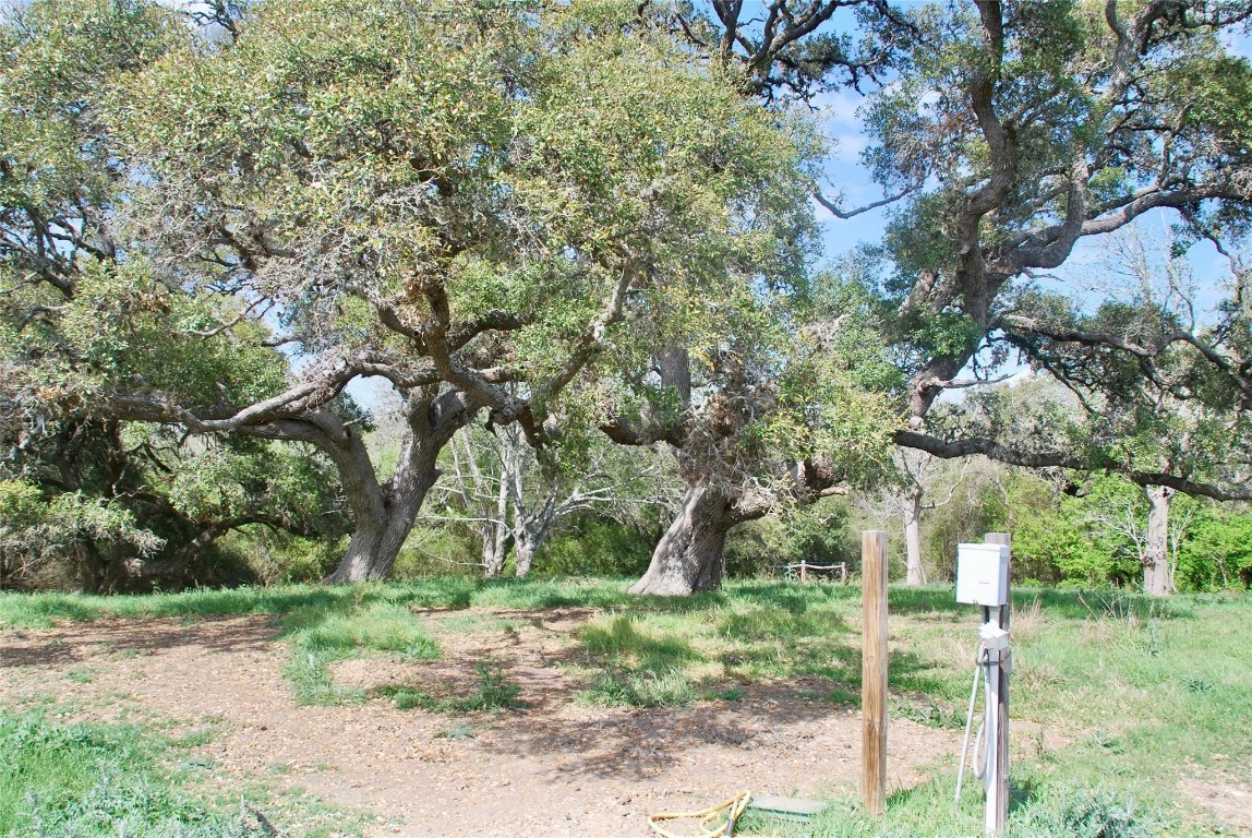 494 County Road 217 Schulenburg, TX 78956 - Photo 27 of 39 a backyard of a house with trees