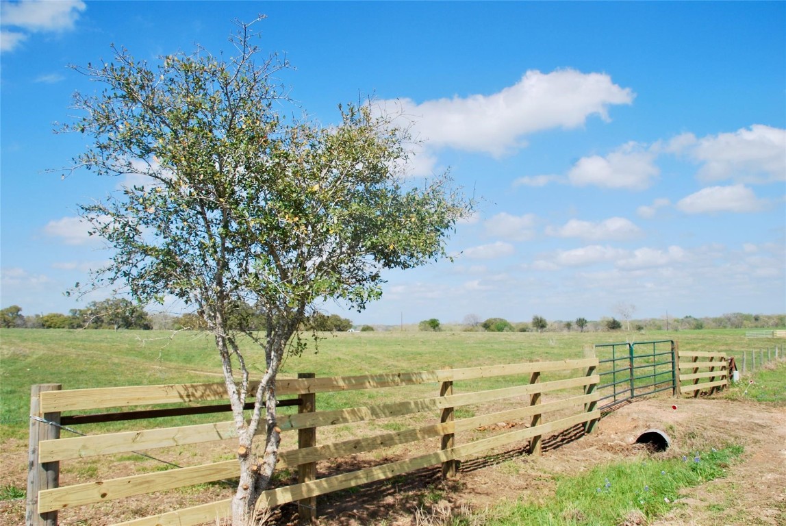494 County Road 217 Schulenburg, TX 78956 - Photo 4 of 39 a view of a lake with a yard