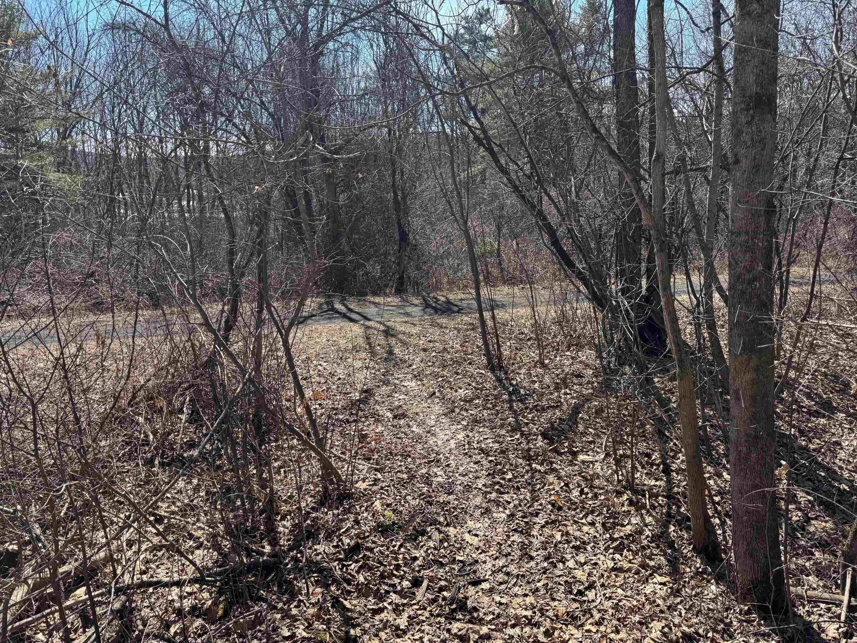 52 Farr Road Lebanon, NH 03766 - Photo 45 of 48