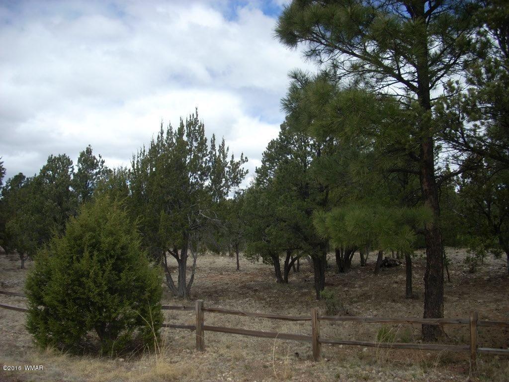 2814 Dogleg Way Overgaard, AZ 85933 - Photo 1 of 22