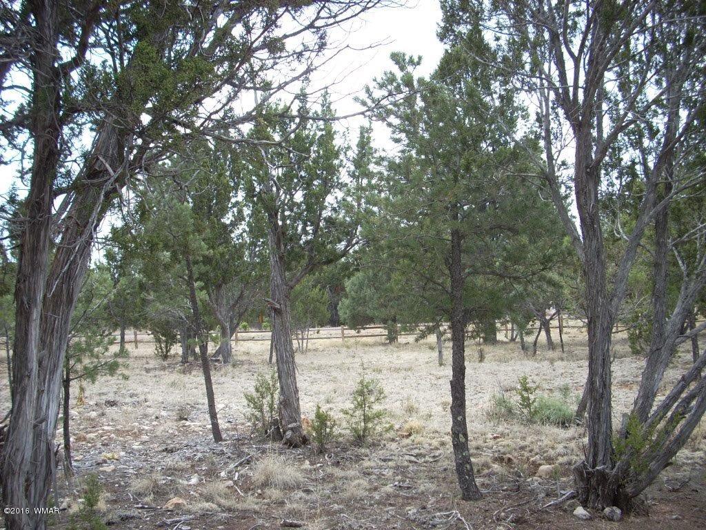 2814 Dogleg Way Overgaard, AZ 85933 - Photo 17 of 22