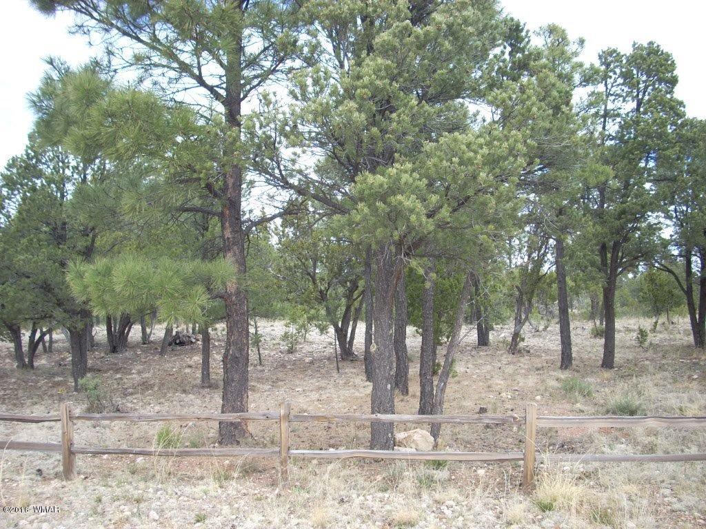 2814 Dogleg Way Overgaard, AZ 85933 - Photo 18 of 22