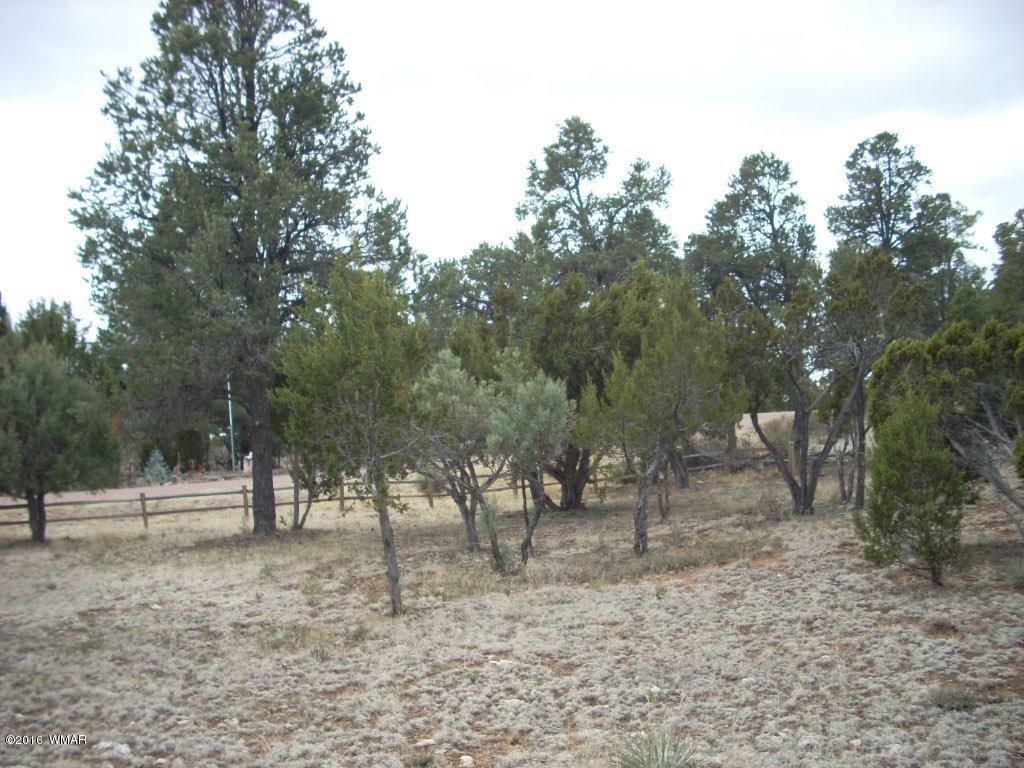 2814 Dogleg Way Overgaard, AZ 85933 - Photo 19 of 22