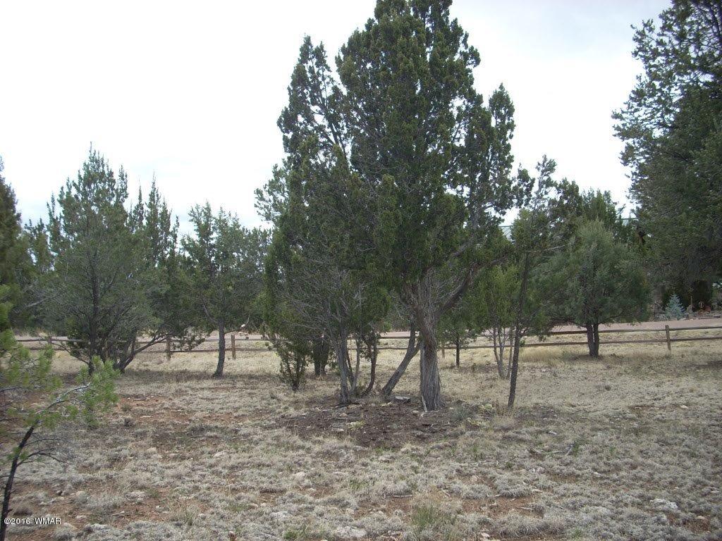 2814 Dogleg Way Overgaard, AZ 85933 - Photo 20 of 22