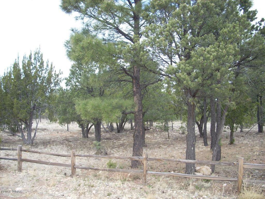 2814 Dogleg Way Overgaard, AZ 85933 - Photo 2 of 22