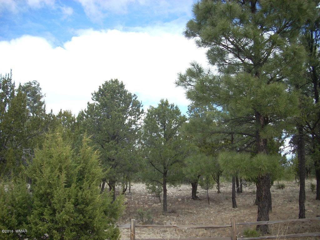 2814 Dogleg Way Overgaard, AZ 85933 - Photo 22 of 22