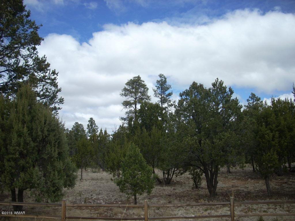 2814 Dogleg Way Overgaard, AZ 85933 - Photo 3 of 22