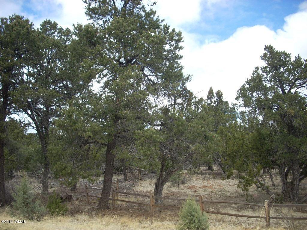 2814 Dogleg Way Overgaard, AZ 85933 - Photo 4 of 22