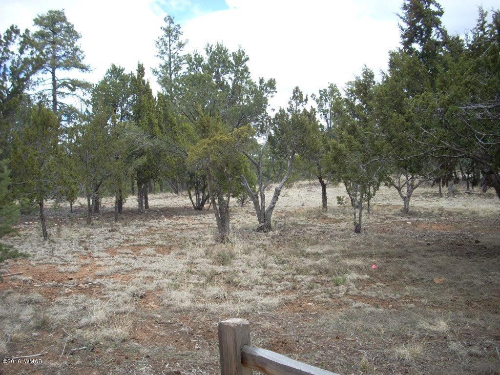 2814 Dogleg Way Overgaard, AZ 85933 - Photo 6 of 22
