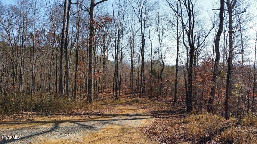 42 Athens Road Delano, TN 37325 - Photo 11 of 19 Gallery Image 11