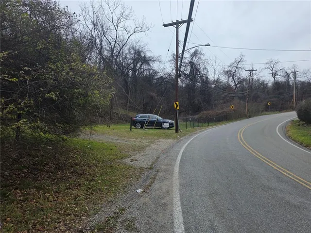 a view of a park with large trees