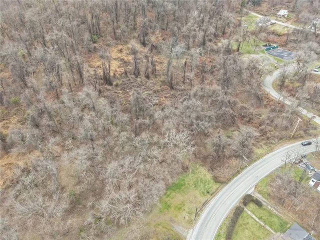 a view of a dry yard with some trees