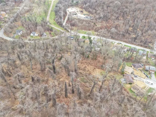 a close up of a plant