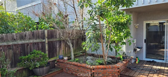 a view of a backyard with plants