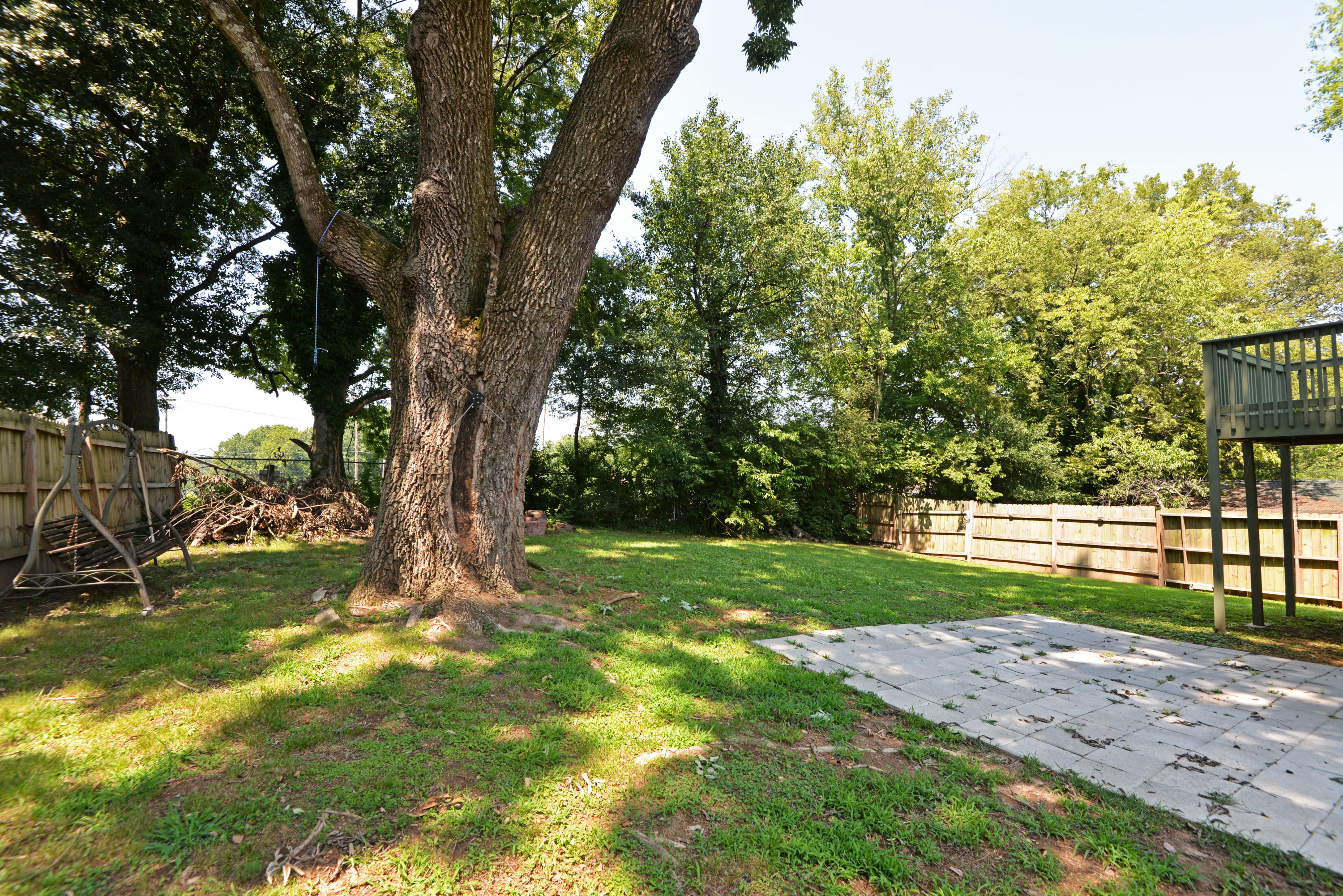 111 South Moore Road Chattanooga, TN 37411 - Photo 46 of 47 Back yard