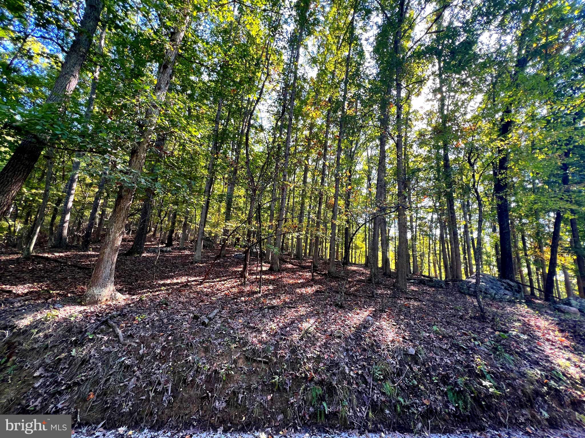 1604 High Knob Road Old Fields, WV 26845 - Photo 81 of 113