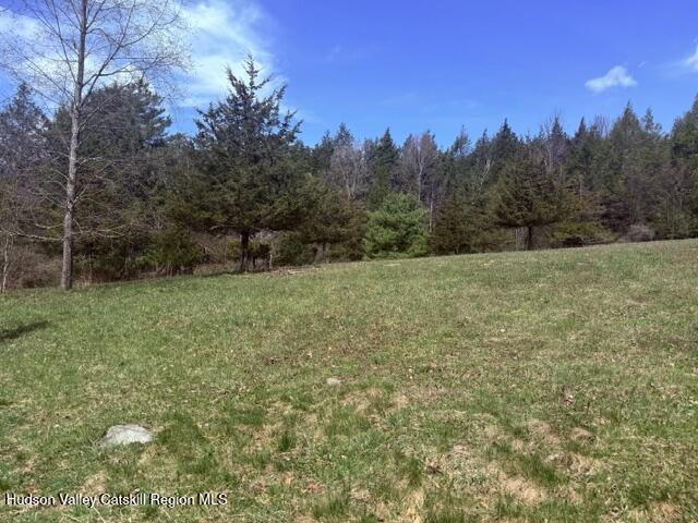 0 Van Etten Road Prattsville, NY 12468 - Photo 20 of 34 IMG_3156