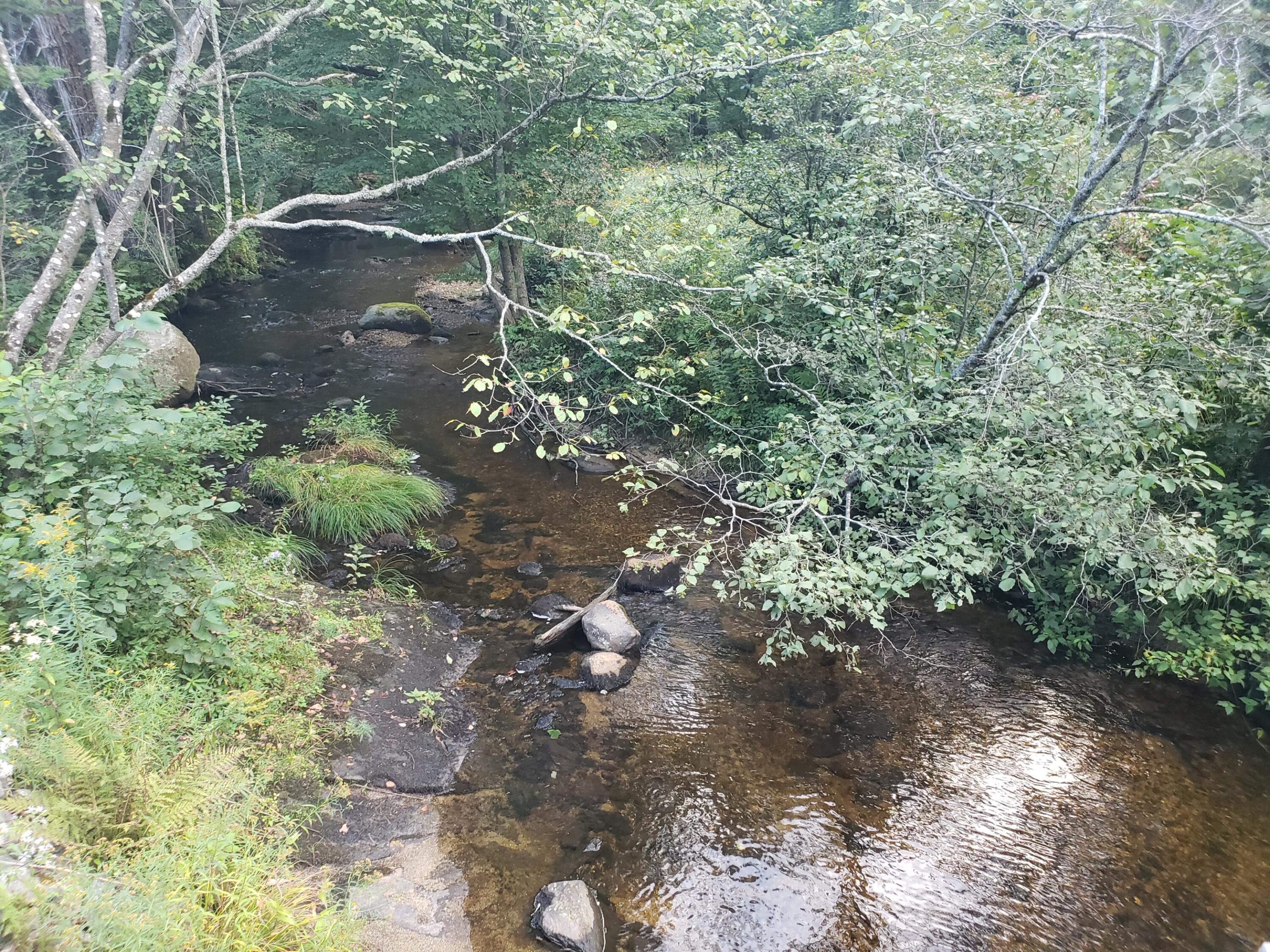 Tbd Tuell Hill Road Sumner, ME 04292 - Photo 1 of 8 River at Bridge