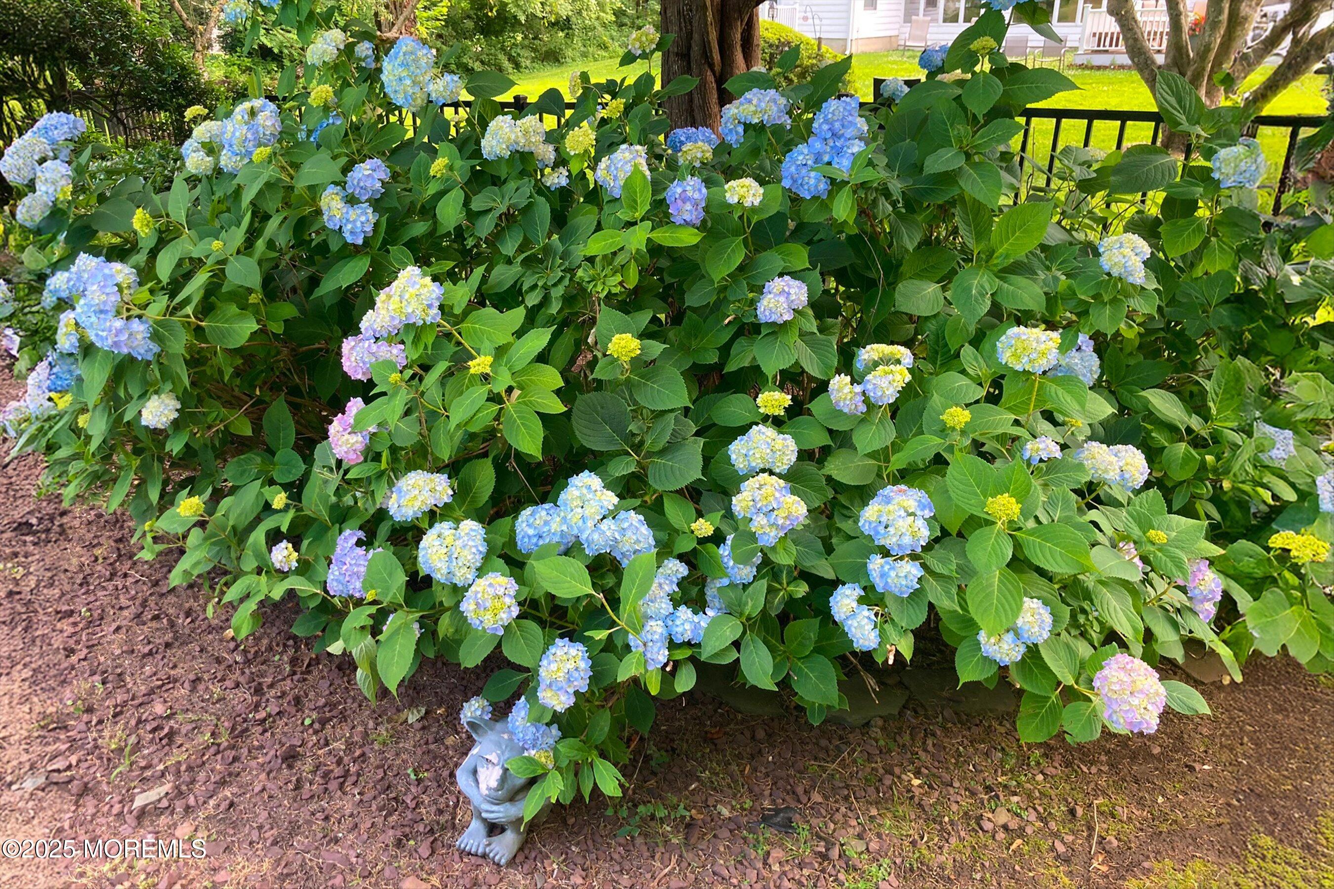 29 Holland Road Middletown, NJ 07748 - Photo 49 of 59 a view of flowers in bunch