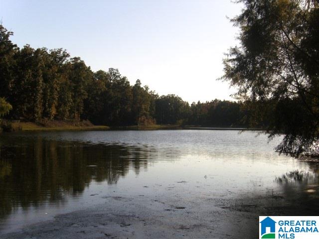 1091 Greendale Drive Helena, AL 35022 - Photo 5 of 7