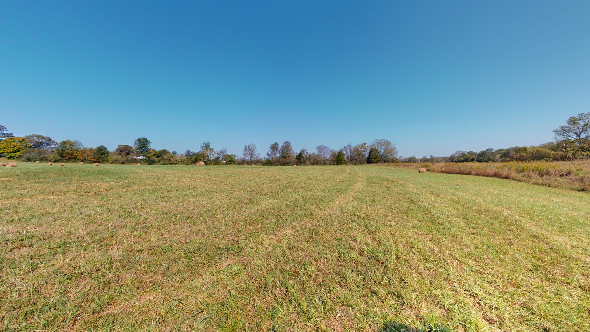 0 Piney River Road Dickson, TN 37055 - Photo 5 of 7 Gallery Image 5