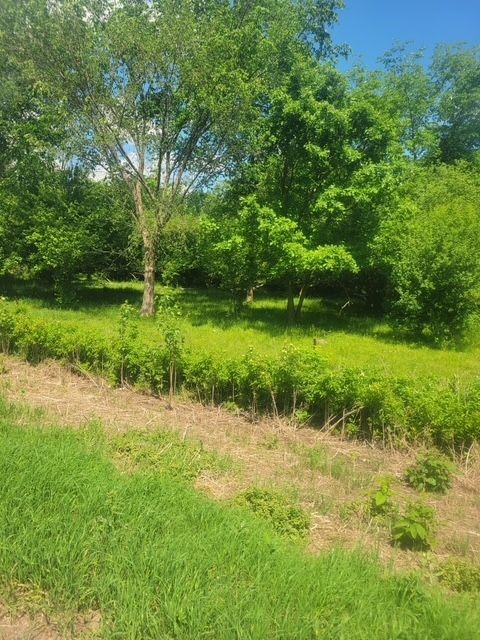 Tbd 230th Street Baldwin, WI 54002 - Photo 8 of 53