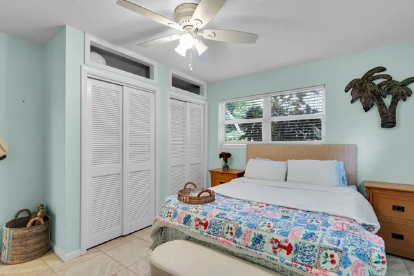 a garden with plants and trees