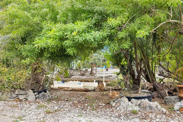 $1,099,000 | 3836-3848 No Name Road, Big Pine Key, FL 33043