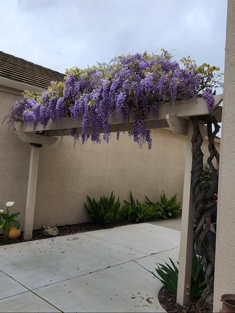 4332 Copper Cliff Lane Modesto, CA 95355 - Photo 17 of 22