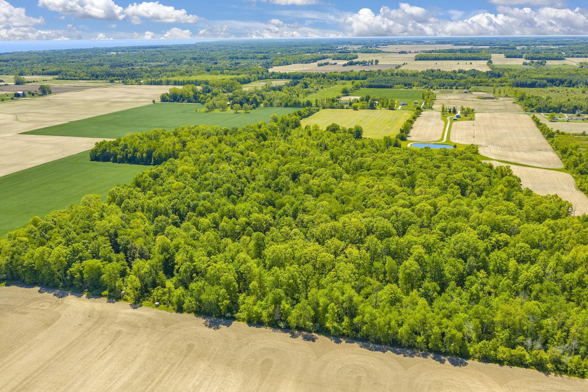 0 Wellman Line Road Yale, MI 48097 - Photo 8 of 10