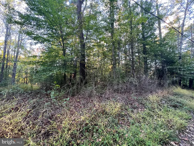 a view of a bench in the backyard of a house