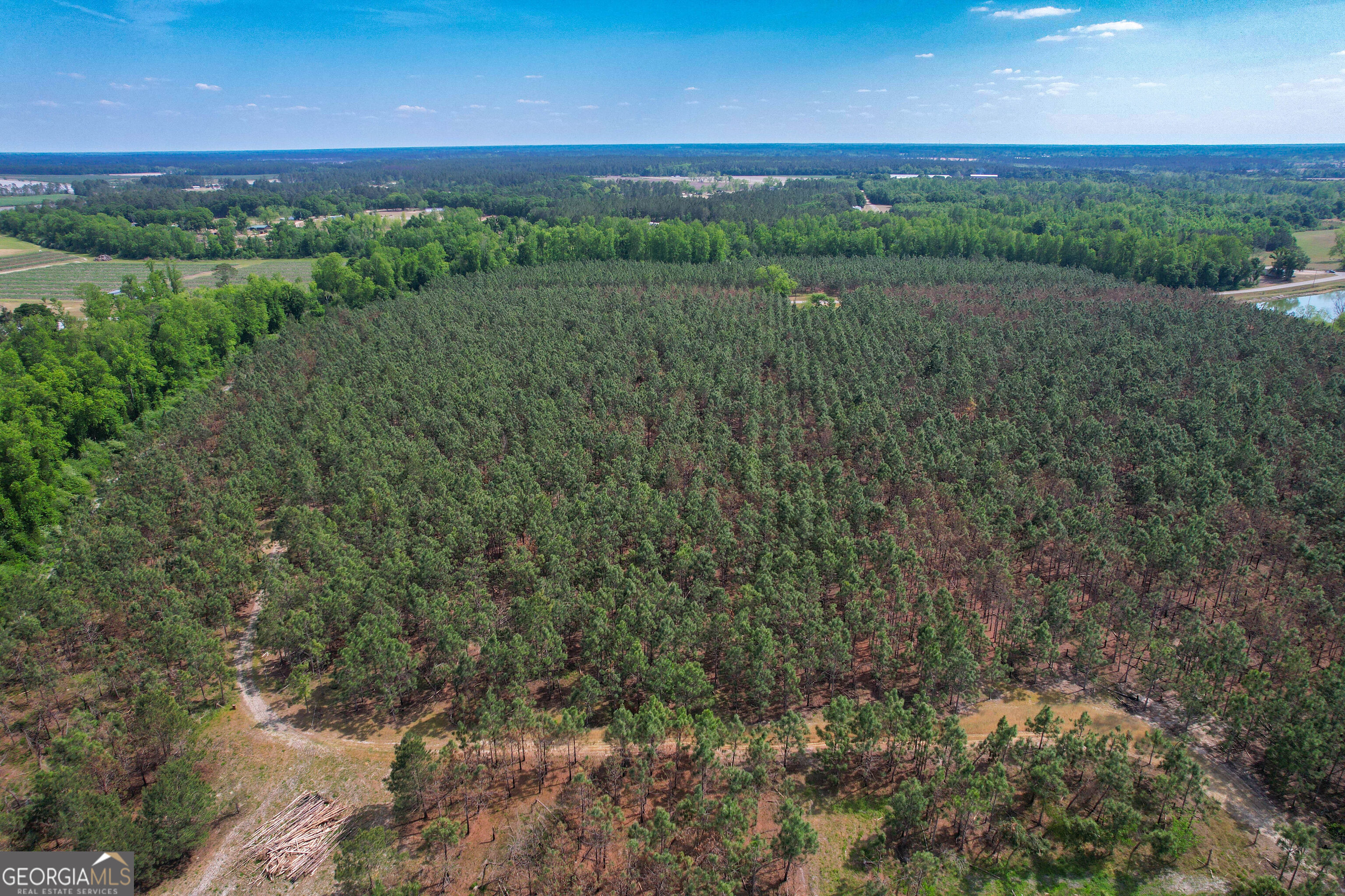 0 County Farm Road Baxley, GA 31513 - Photo 18 of 25
