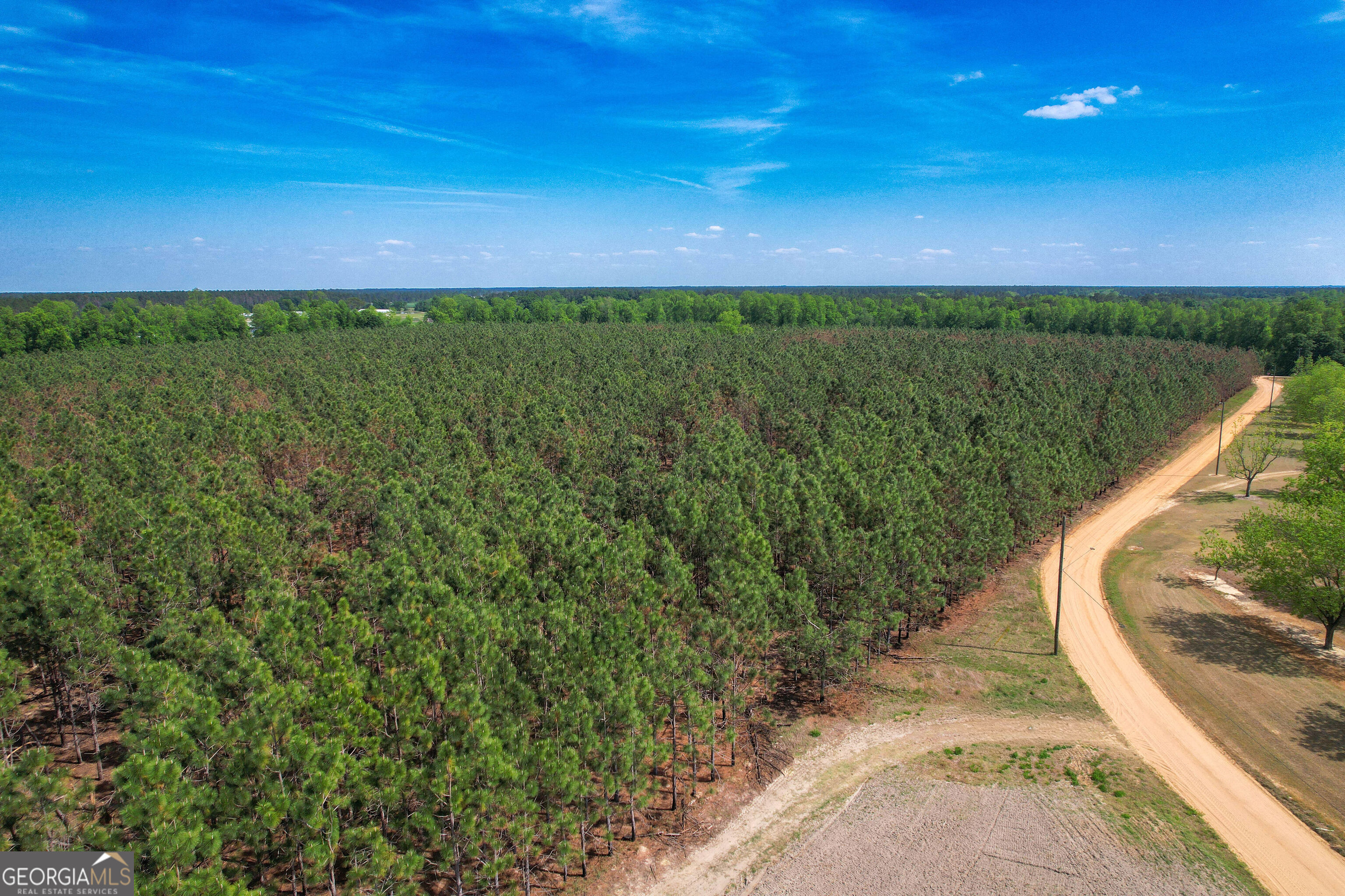 0 County Farm Road Baxley, GA 31513 - Photo 19 of 25