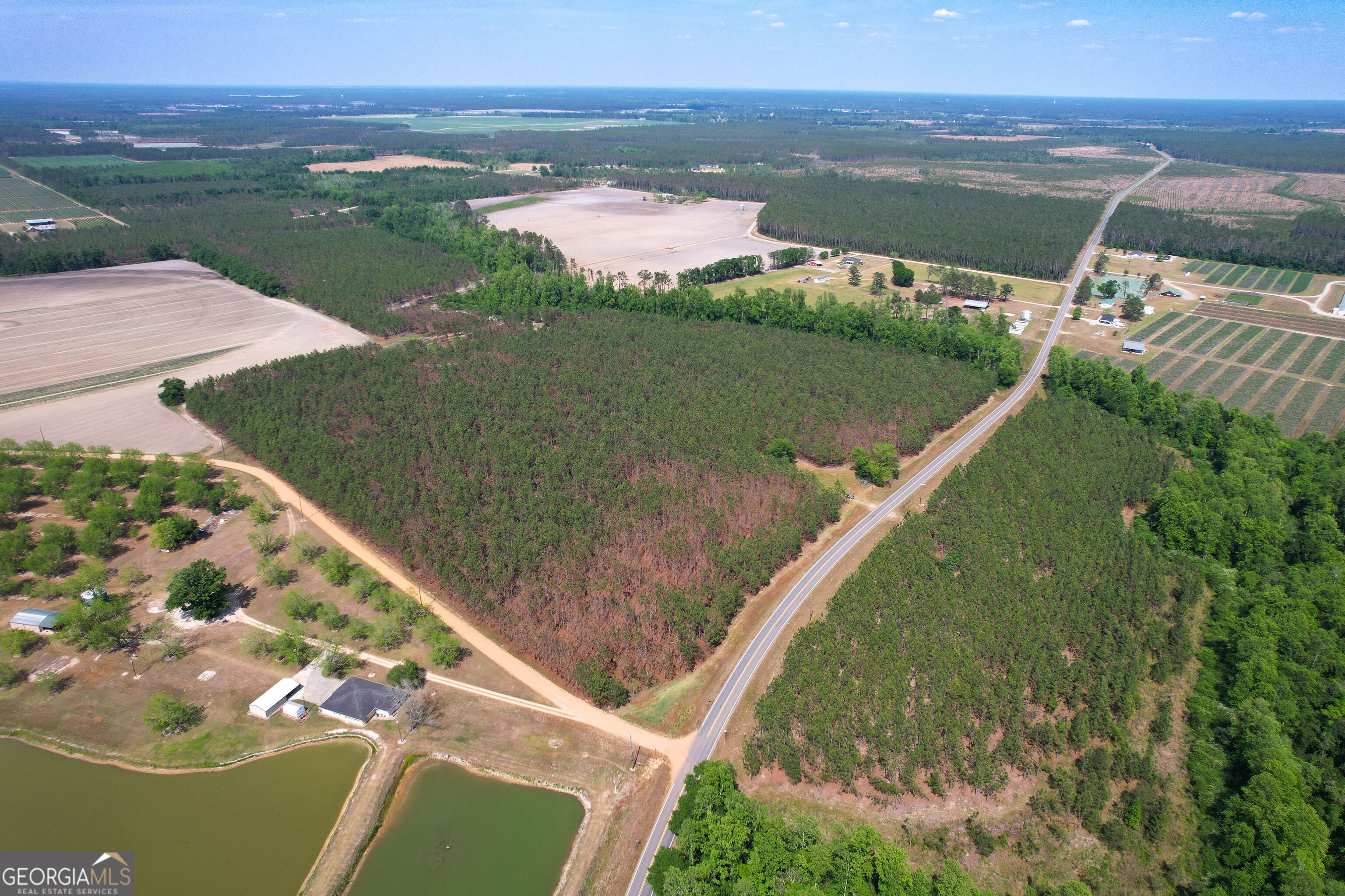 0 County Farm Road Baxley, GA 31513 - Photo 4 of 25