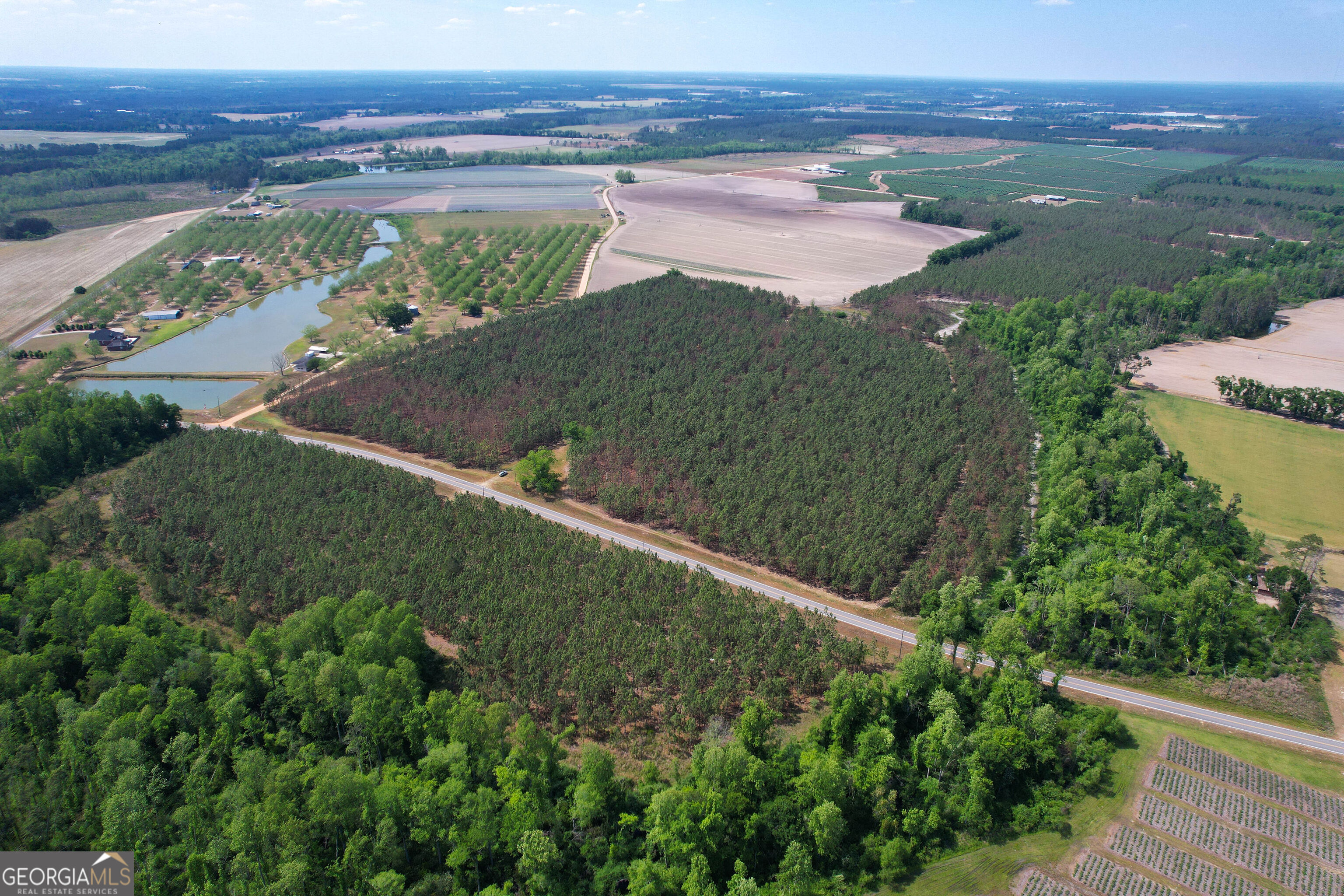 0 County Farm Road Baxley, GA 31513 - Photo 6 of 25