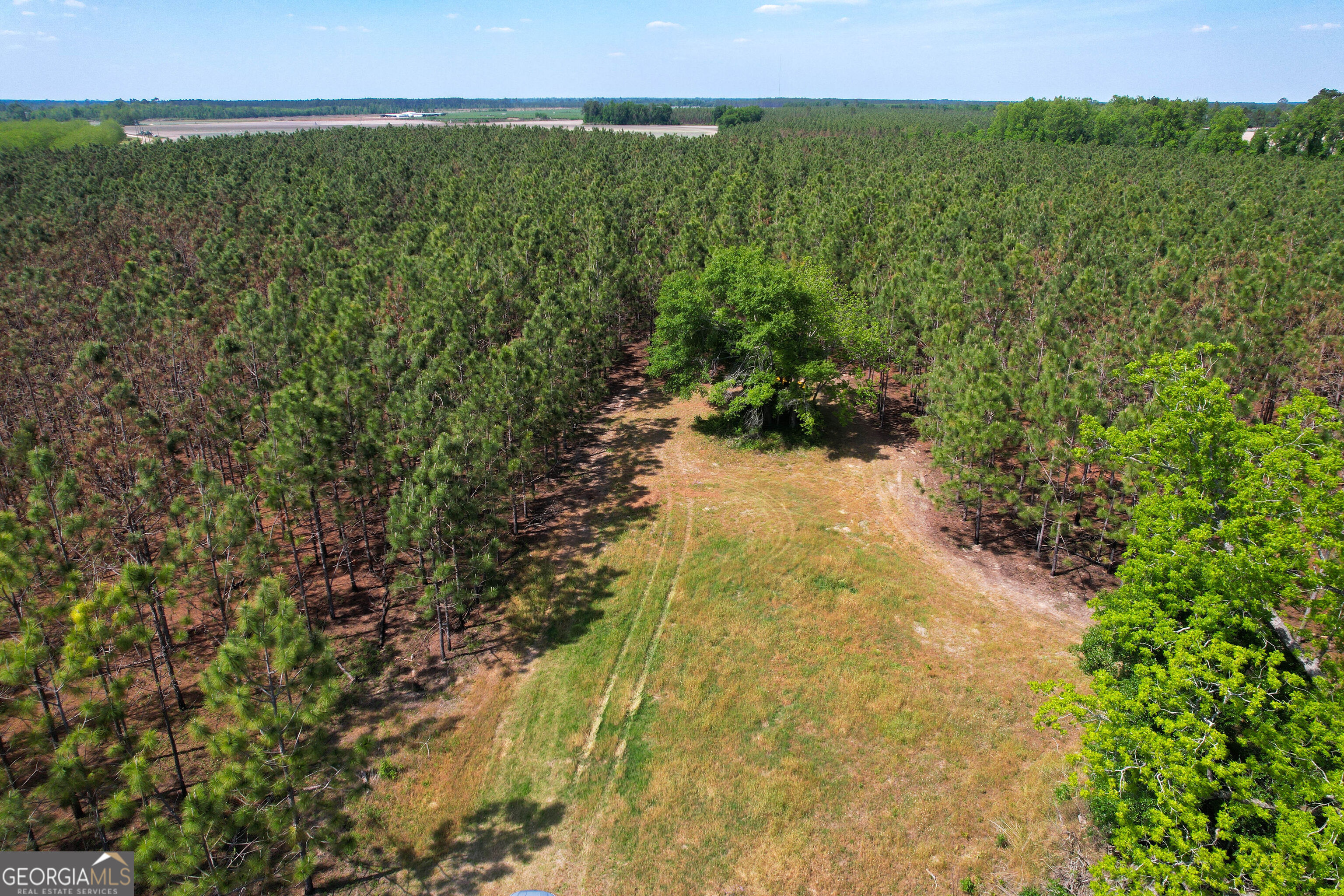 0 County Farm Road Baxley, GA 31513 - Photo 8 of 25