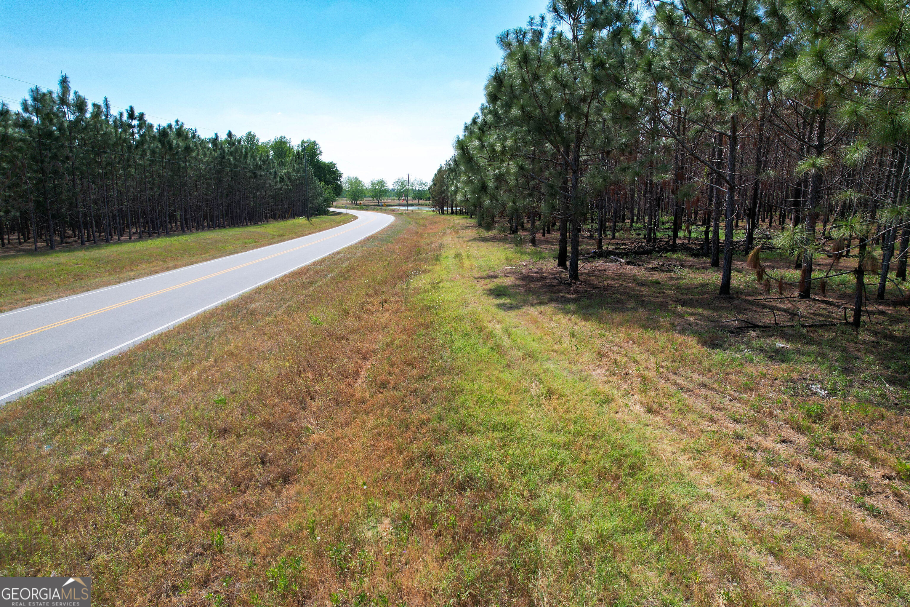 0 County Farm Road Baxley, GA 31513 - Photo 9 of 25