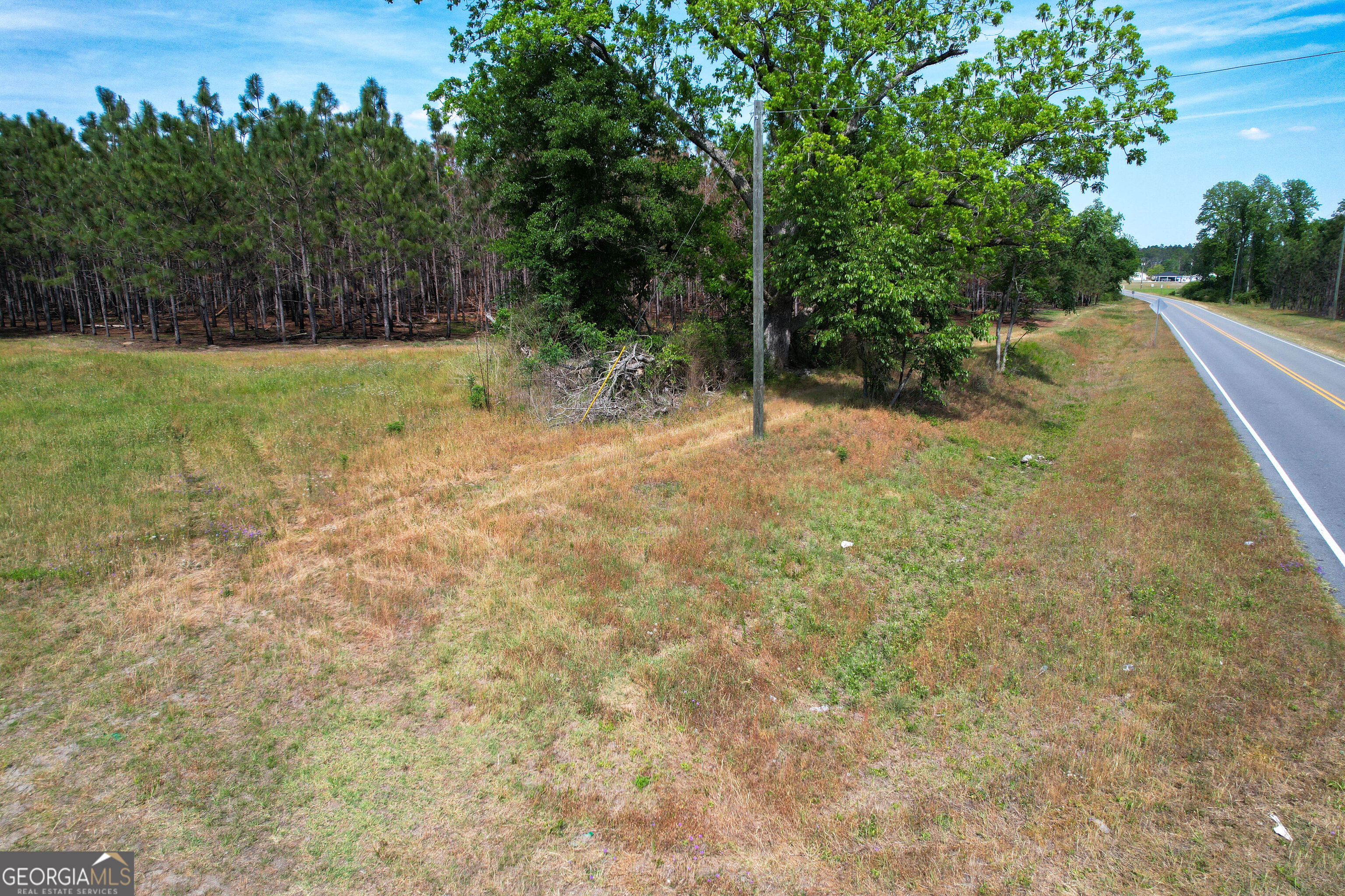 0 County Farm Road Baxley, GA 31513 - Photo 10 of 25