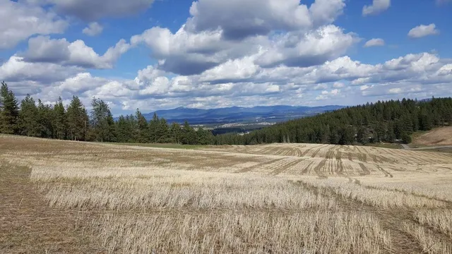 $295,000 | 16400 North Dalton Road, Spokane, WA 99208