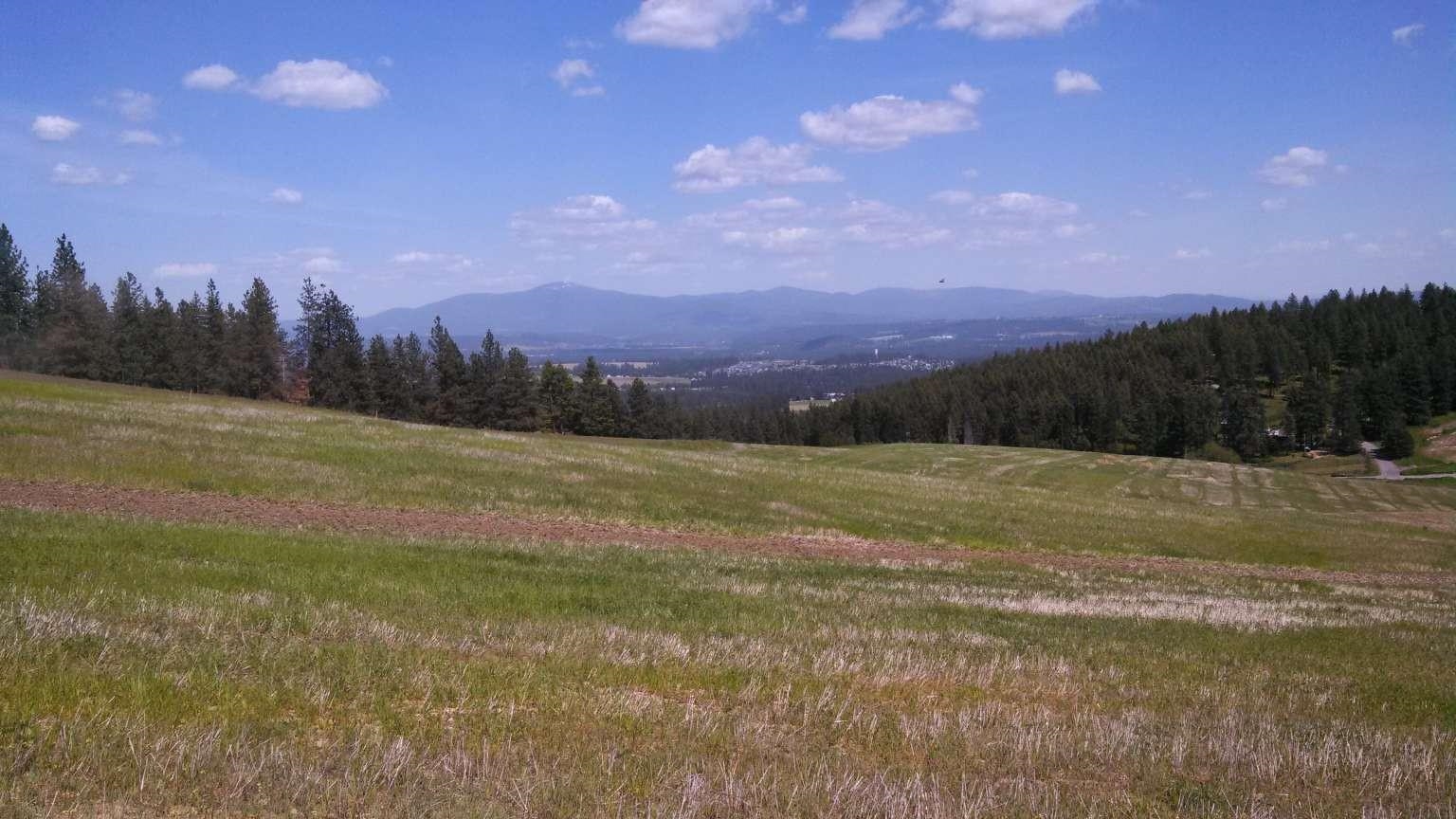 16400 North Dalton Road Spokane, WA 99208 - Photo 3 of 4