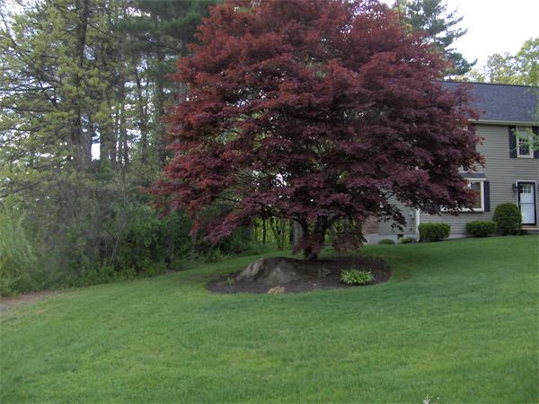 36 Merrill Road Sutton, MA 01590 - Photo 22 of 23