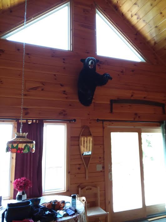 1275 West Side Road Weld, ME 04285 - Photo 9 of 26 0-1