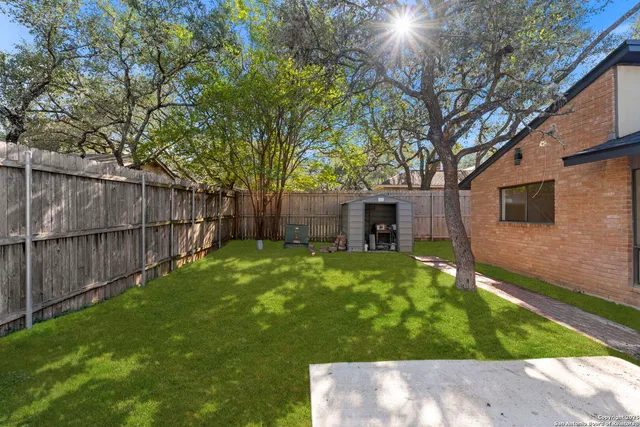 a view of a backyard with a tree