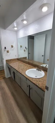 a bathroom with a sink and a large mirror