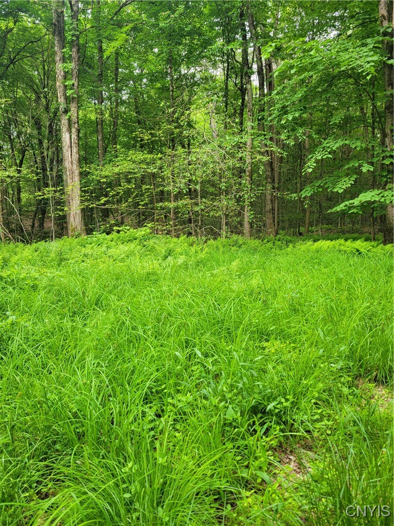 Keppy Carr Road Williamstown, NY 13493 - Photo 10 of 13