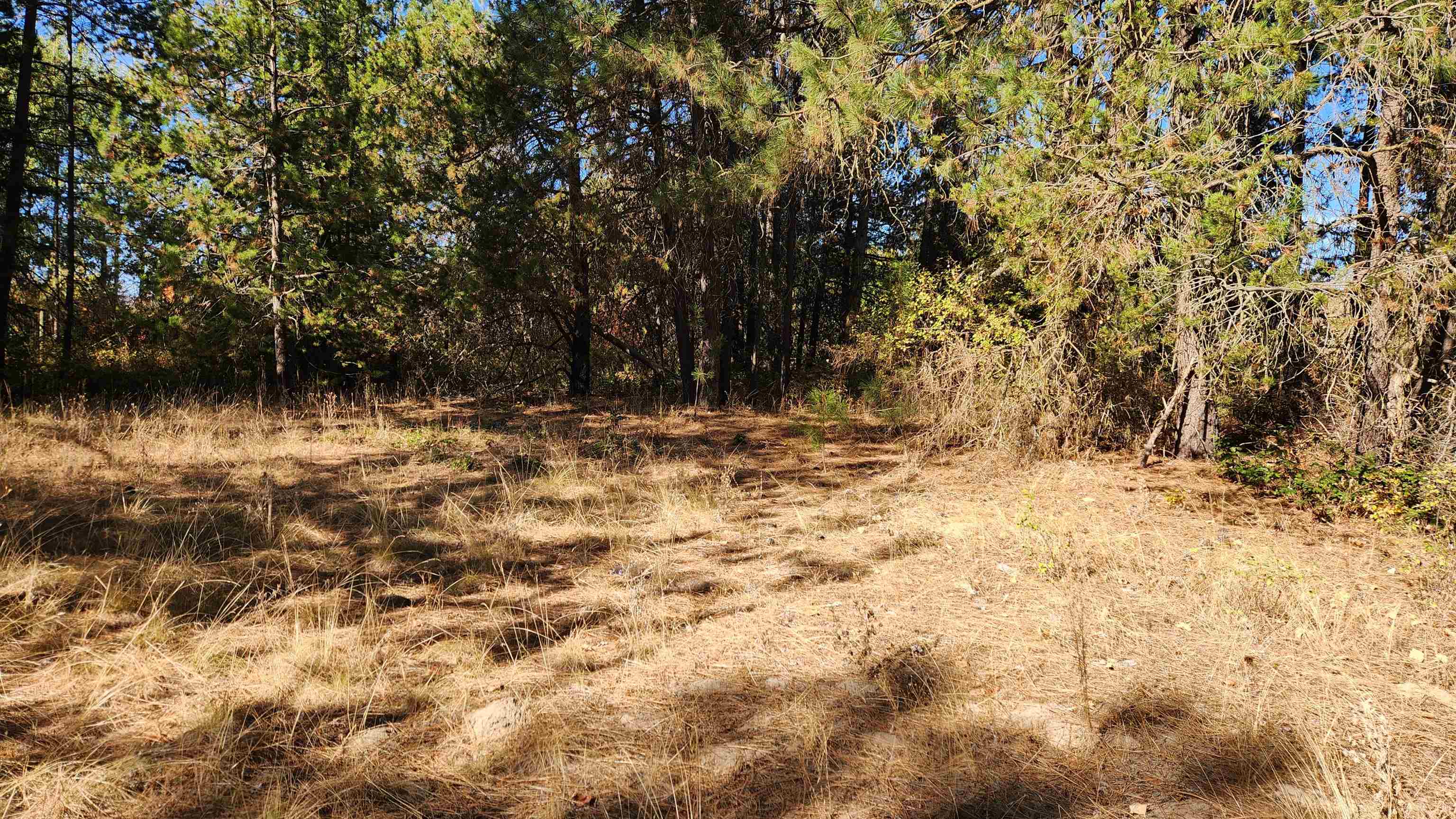 0 West Spring Creek Road Deer Park, WA 99006 - Photo 8 of 12 Gallery Image 8