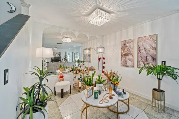 a view of a dining room with furniture a potted plant and wooden floor