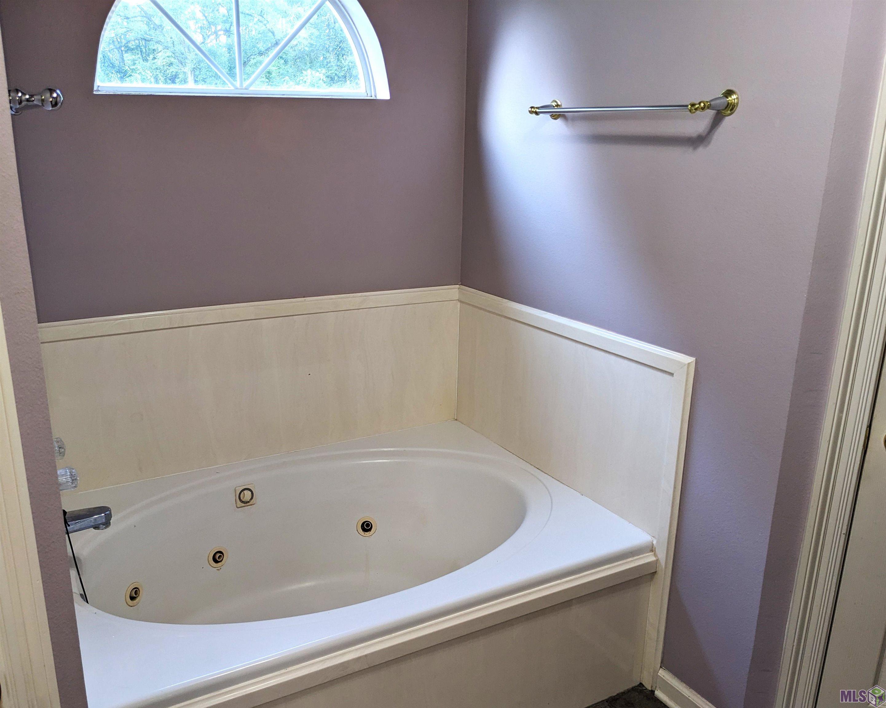 39372 Shafter Leblanc Road Gonzales, LA 70737 - Photo 19 of 31 Jetted Tub